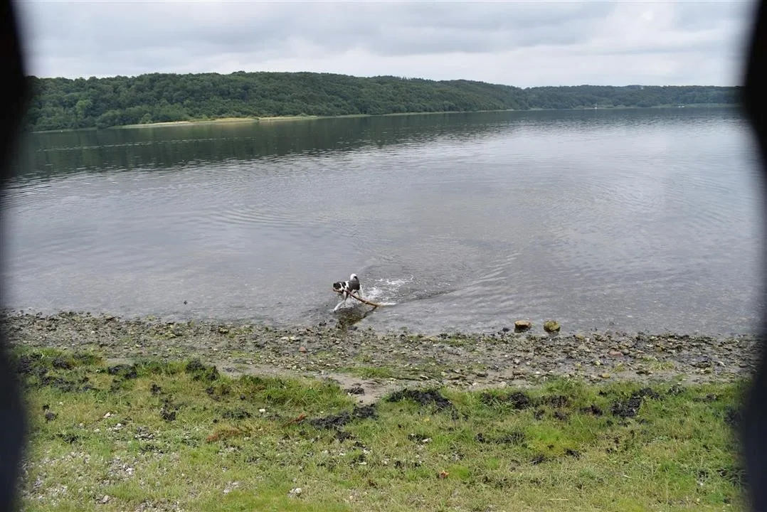 Assens and the North of Denmark 2017